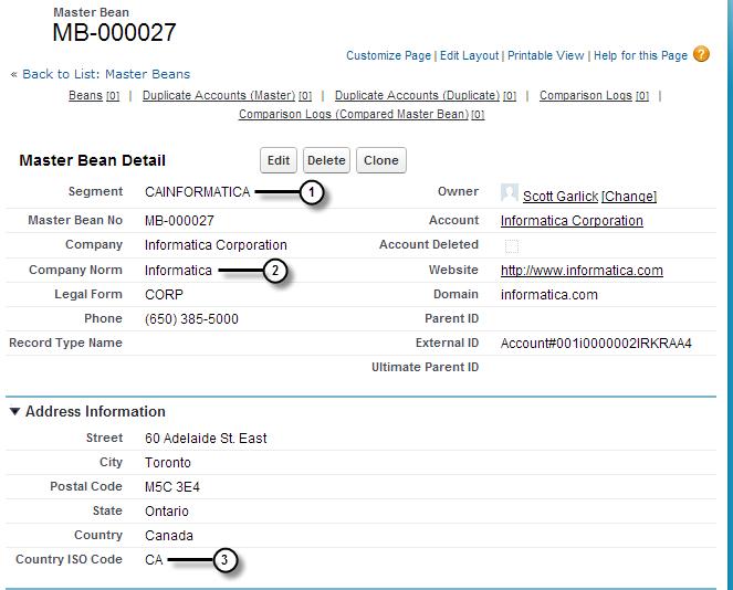 A Master Bean with a fuzzy segment field value of CAINFORMATICA. The company norm field value is Informatica and the country ISO code field value is CA. 
			 