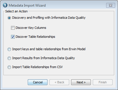 In the Metadata Import Wizard, the Discovery and Profiling with Informatica Data Quality and the Discover Table Relationships parameters are selected. 
				