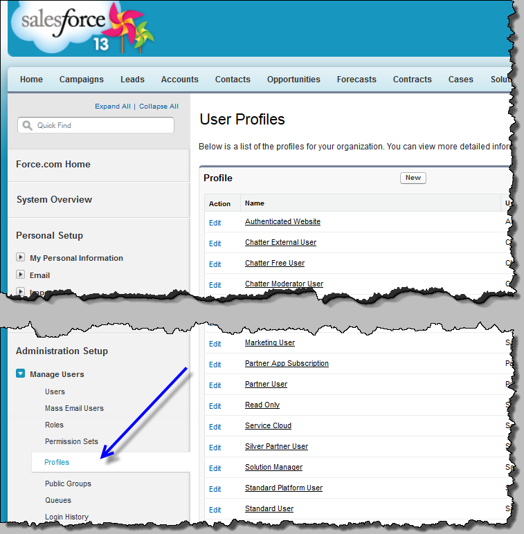 Manage Users, Profiles selected 
				