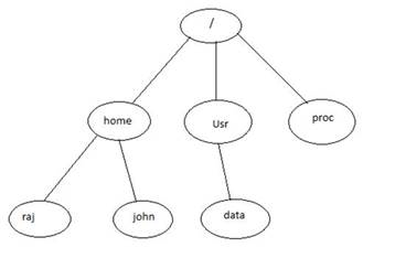 The image shows a sample directory structure. 
						