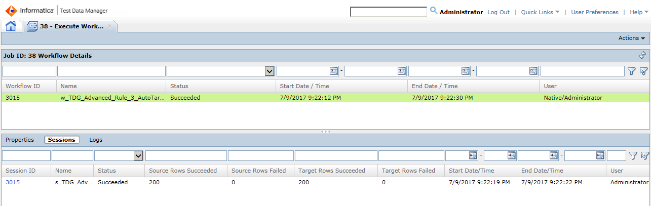 The Execute Workflow tab shows the session details for a workflow job. 
			 