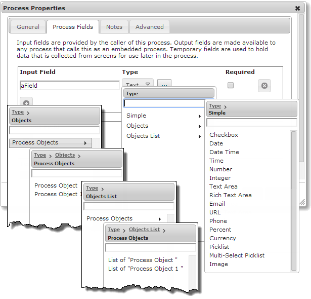 Process Properties Process Fields tab, showing text fields 
		  