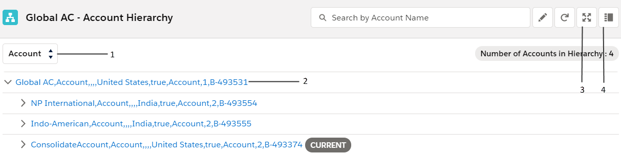A hierarchy in Lightning Experience contains the following: Hierarchy type, Ultimate parent and it's children records, Edit icon, Refresh icon, Expand/Collapse icon, and View C360 icon
		  