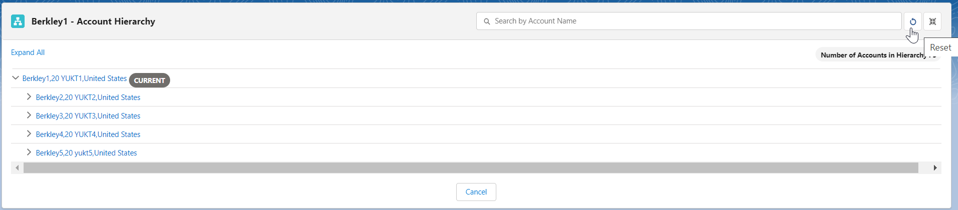 The image shows the Reset button to rollback all the changes to an Account hierarchy.
				  