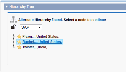 The image displays the alternate hierarchy for the SAP hierarchy type. 
			 
