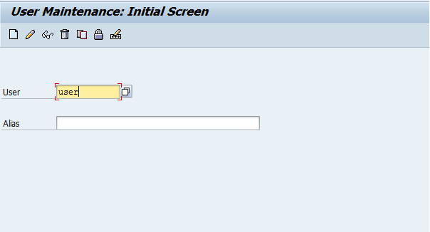 In the User field, enter the SAP user name to which you want to assign permissions to execute the SNC functions. 
				  