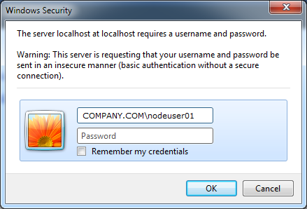 The Windows login dialog box shows the user name for the administrator user specified when you enabled Kerberos authentication.