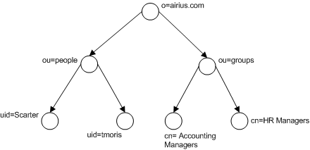 The figure shows the directory entries arranged in a tree-like structure called Directory Information Tree (DIT). 
		  