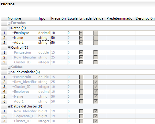 Los puertos incluyen los grupos de entrada de datos y controles. Los grupos de salida son del tipo salida estándar y datos de clústeres. 
		  