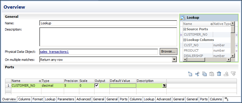 The Overview view shows general information, such as the Lookup transformation name, description, and physical data object, and the ports included in the Lookup transformation. 
				  