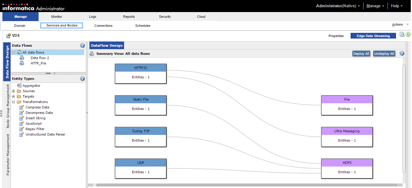 The Edge Data Streaming tab consists of the Data Flow Design tab, Node Management tab, and the Parameter Management tab. The Data Flow Design tab displays the Dataflows panel, the Entity types panel, and the Summary View All Data Flows panel.
			 