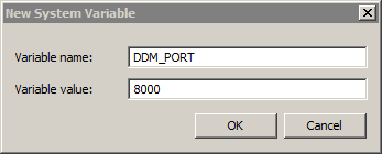 The variable name is DDM_PORT and the variable value is 8000. 
				  