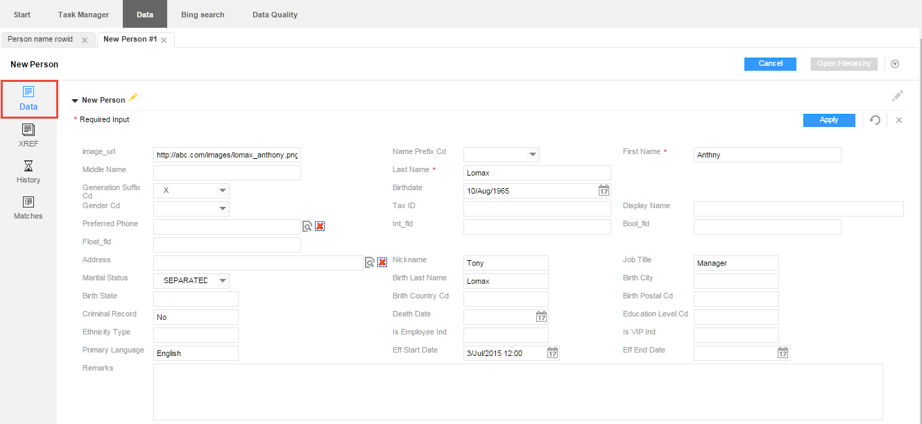 The 
					 Data view with some sample data and an image URL. 
				  