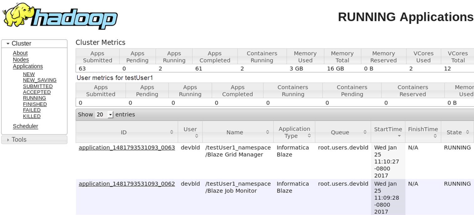 The image shows the Hadoop Resource Manager web view with a list of applications with a name that includes the namespace you configured.
		  