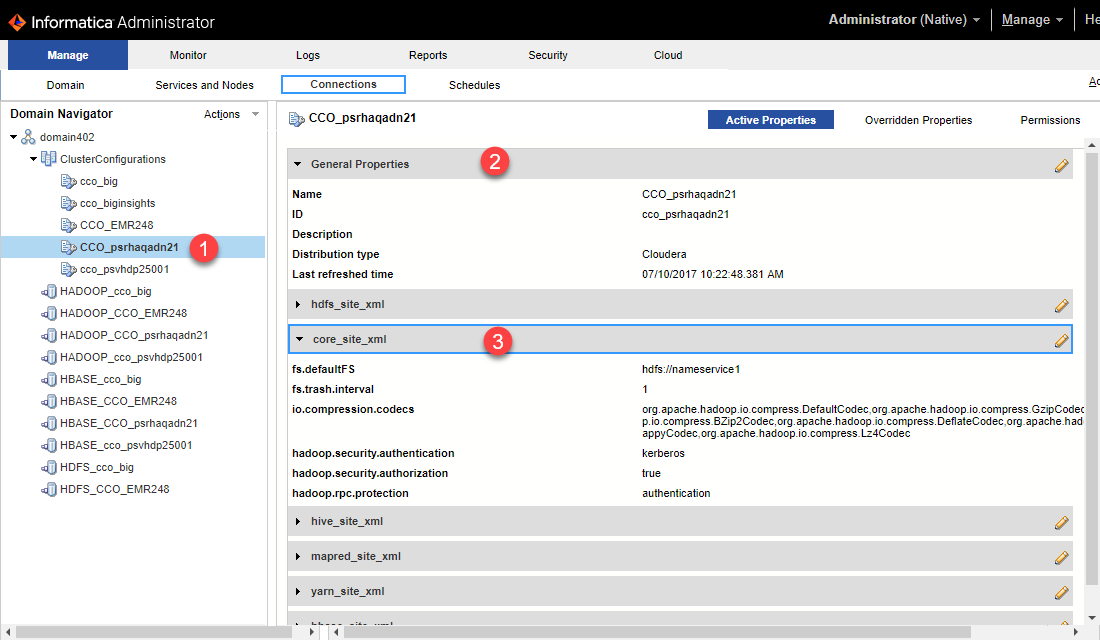 Use the Connections tab to view a list of cluster configurations under the cluster configurations node. Select a cluster configuration and click the Active Properties view to view its contents, organized into configuration sets, or click the Overridden Properties view to see overridden properties. 
		  