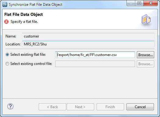The image shows the synchronize flat file data object wizard.
				  