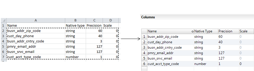 The first image shows an Excel table with business information, type values, precision values, and scale values. The second image shows the same information after it has been copied to a flat file data object in the Developer tool. 
				