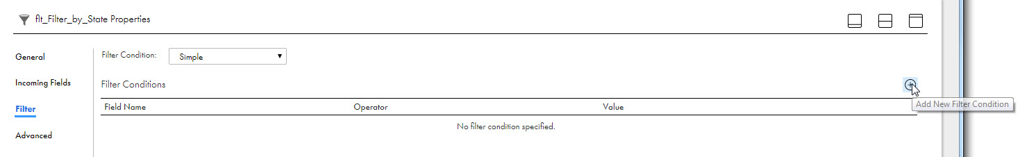 A message in the Filter Conditions table says there are no filter conditions specified. When you click the Add New Filter Condition icon, a row is created in the table for the new condition. 
				  