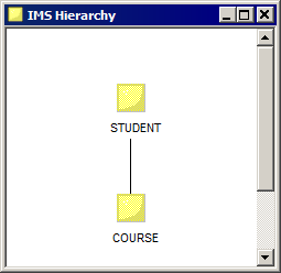 This diagram displays the IMS hierarchy. 
			 