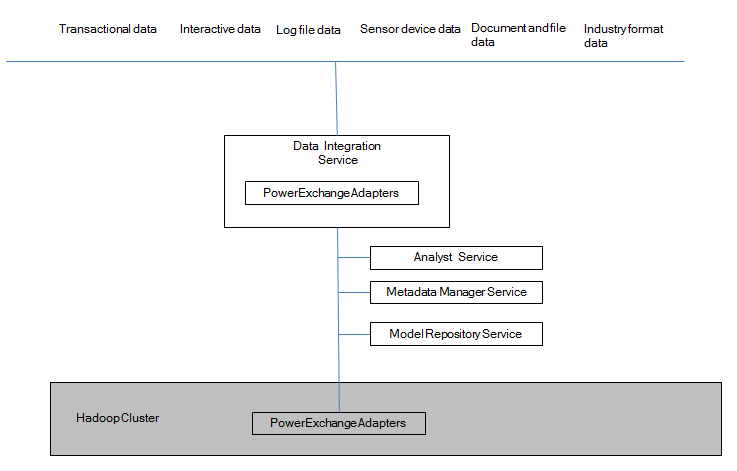The figure shows the Data Integration Service in a box with PowerExchange Adapters inside it. The Data Integration Service connects to different data formats, Analyst Service, Metadata Manager Service, Model Repository Service and to the Hadoop Cluster. PowerExchange Adapters also appear inside the Hadoop cluster.
			 