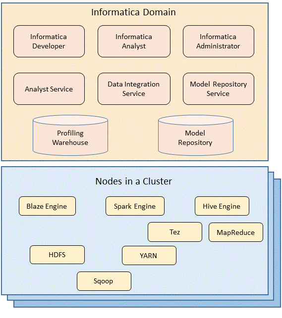 The Big Data Management components include clients, application services, and databases within the Informatica domain. The nodes in the Hadoop cluster contain engines that can run the mappings. 
		  