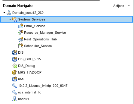 The Domain is expanded in the Domain Navigator. The Domain contains a system services folder, a model repository service, a data integration service, a license, and a node. The System Services folder contain an email service, a resource manager service, REST Operations Hub service, and a scheduler service. 
			 