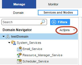 On the Services and Nodes view, the domain named testDomain is selected in the Domain Navigator.
				  