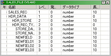 Sales_File COBOLソース定義は、［ポート名］、［レベル］、［発生数］、［データ型］、および［長さ］の各列を表示します。 
		  