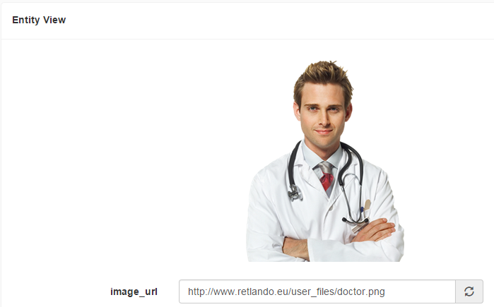 Uma captura de tela mostrando uma URL de imagem e a imagem vinculada na exibição do Entity 360
			 
