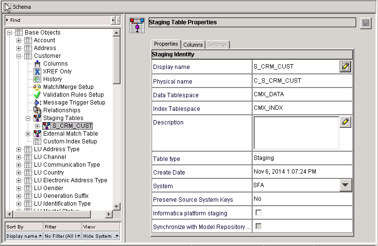 The Schema tool shows the S_CRM_CUST staging table in the navigation tree. 
				  