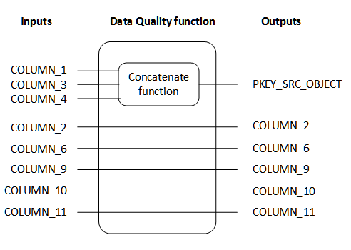 Inputs to the function include all columns from the landing table that we need to map. Outputs include the output from the concatenate function and pass-through mappings. 
		  
