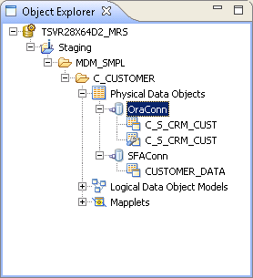 The Developer tool with the C_S_CRM_CUST customized data object that has the OraConn connection in the Object Explorer view and open in the editor. 
				  