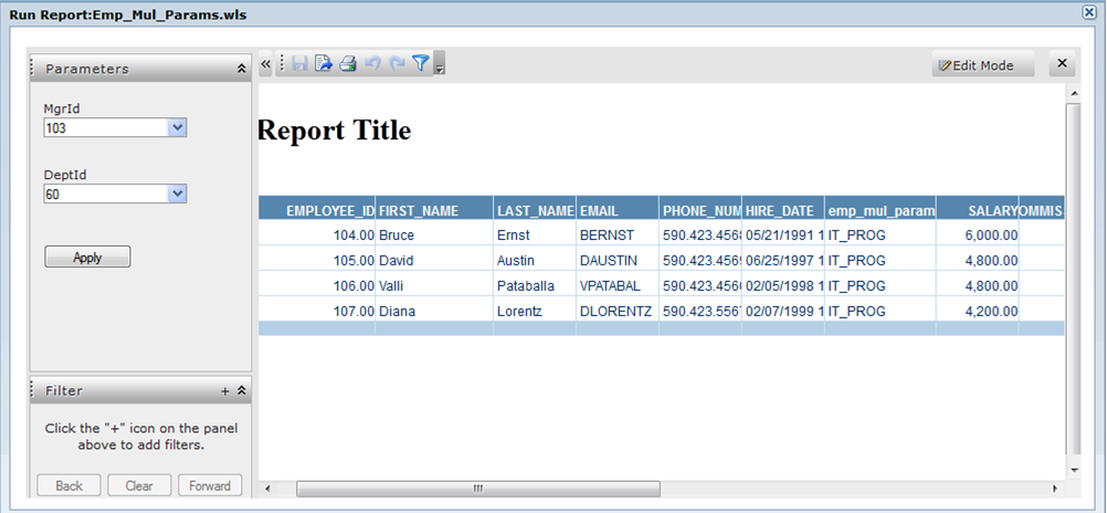 The report page contains buttons on the top to save, export, print, and filter data. The Parameters and Filter views appear on the left.
				