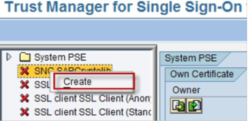 Right-click the SNC SAP Cryptolib node and click Create. 
				  