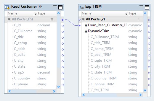 The mapping contains a Read transformation and an Expression transformation. The Expression transformation has two dynamic ports, From_Read_Customer_FF dynamic port and Dynamic_TRIM. The generated ports in the Dynamic_TRIM dynamic port have a _TRIM suffix. 
				  