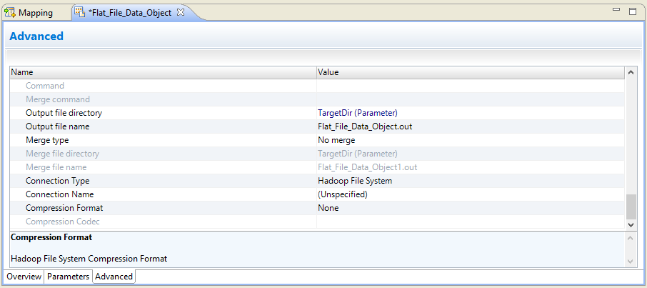 This image shows the Advanced tab for a flat file data object. The connection type is Hadoop File System. The properties for the compression format and compression codec appear at the bottom of the property list. 
			 