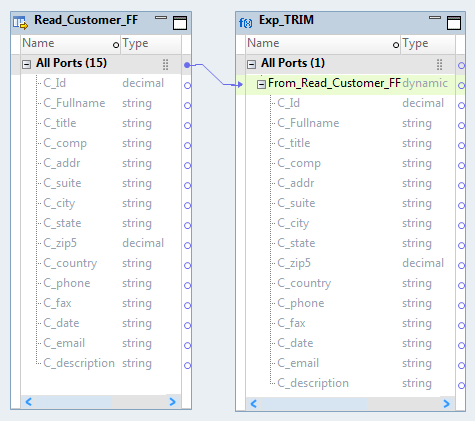 The mapping contains a Read transformation and an Expression transformation. The All Ports groups from the Read transformation is linked to a dynamic port in the Expression transformation. The dynamic port From_Read_CUSTOMER_FF includes all ports from the Read transformation as generated ports. 
				  