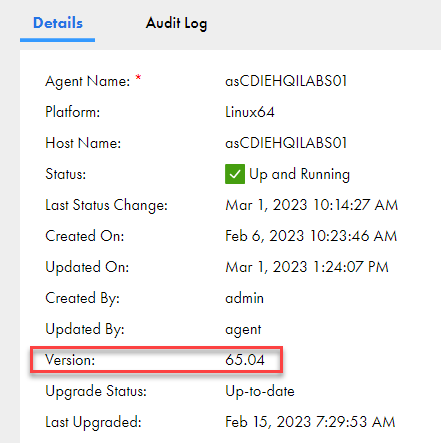  The Details tab of a Secure Agent, with the version number field highlighted. 
					 